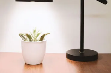 How to install in your phone - 美加墨世界杯赛程